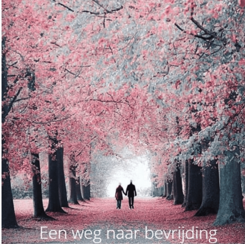 Scherm­afbeelding 2025 11 05 om 11.48.52